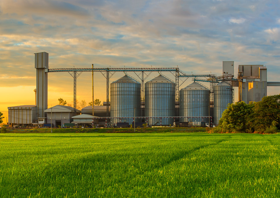 Biofuels in South and Central America